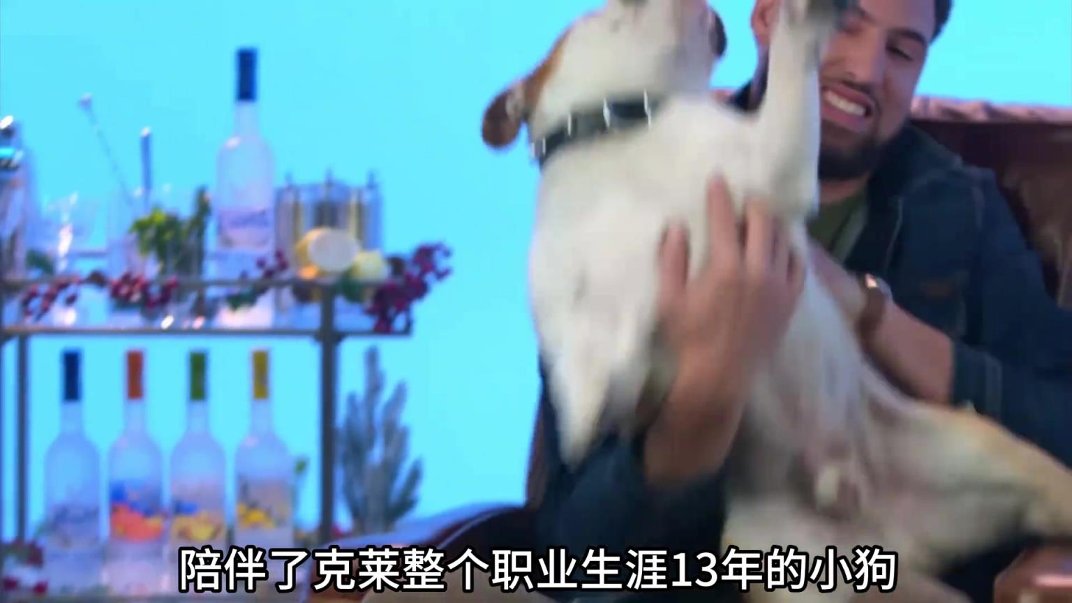 陪伴克萊13年的小狗去世了，不敢相信克萊得多么傷心